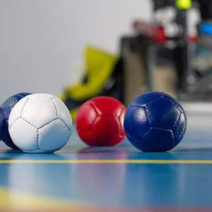 Disability Sport