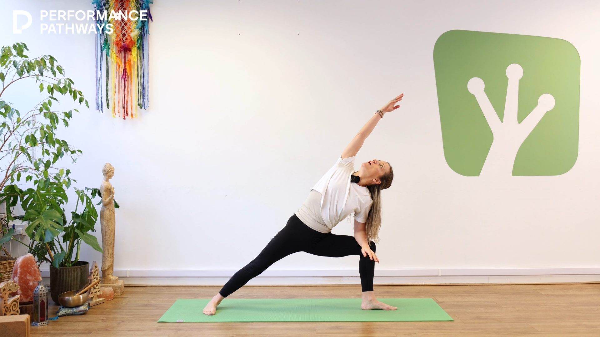 Copy of c (1365 x 768 px) (1400 x 800 px) (1365 x 768 px) (31)